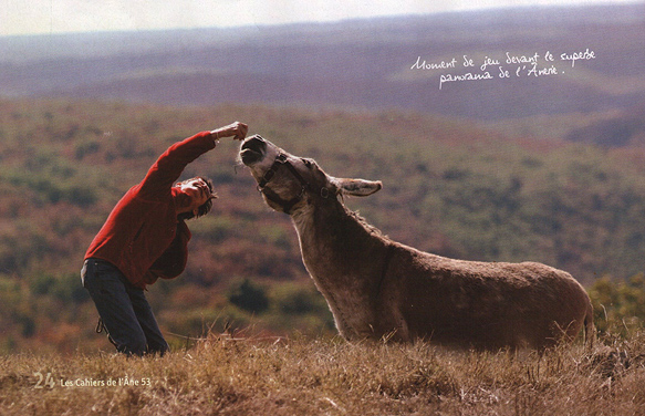 Martine et l'âne